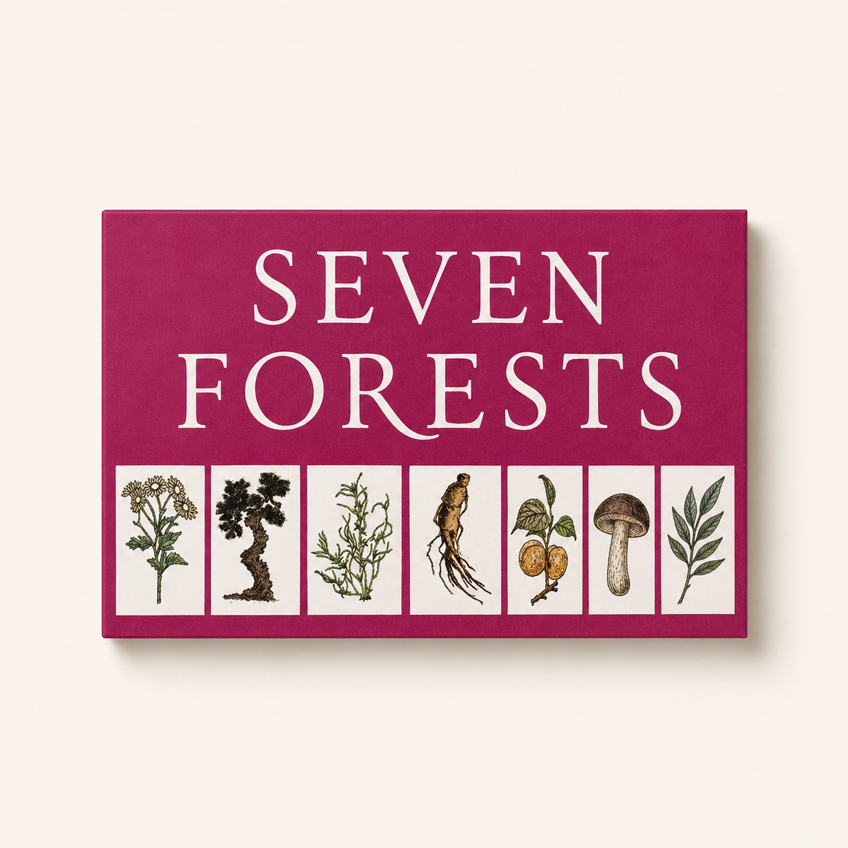 Seven Forests – Herstellerabbildung